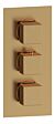 Cordelia Thermostatic Two Outlet Triple Shower Valve - Brushed Bronze
