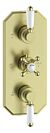 Verona Traditional Lever Thermostatic Two Outlet Shower Valve - Brushed Brass