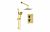 Square Concealed Valve Head & Arm Shower Pack - Brushed Brass