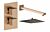 Cordelia Square Shower Valve & Kit Pack 1 - Brushed Bronze