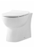 Boston Rimless Back to Wall Pan & Soft Close Seat