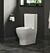Lily BTL Rimless Fully Shrouded Close Coupled Toilet with Soft Close QR Seat