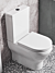 Micra Evo Fully Back To Wall Rimless Toilet with Soft Close Seat